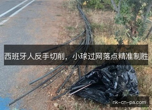 西班牙人反手切削，小球过网落点精准制胜
